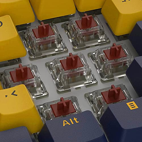 BOYI 61 Mini clavier mécanique