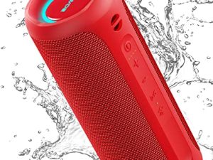 SOWO Haut-parleur Bluetooth portable