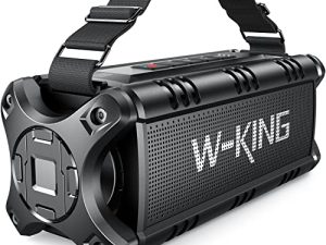 Haut-parleur Bluetooth W-KING