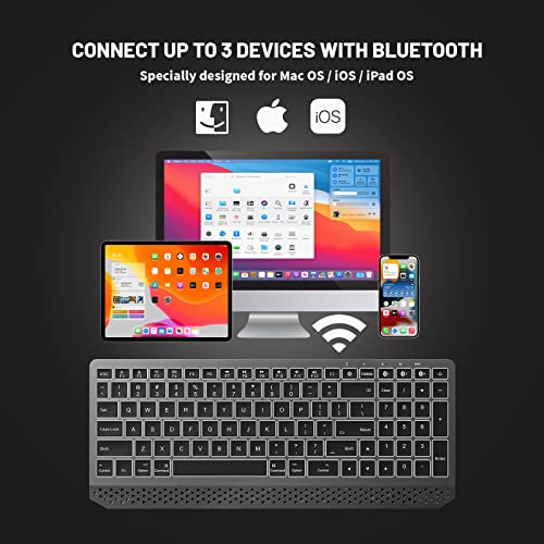 Clavier Bluetooth Holkonbe pour Mac OS --3