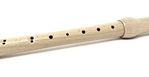 Flûte à bec - instrument de musique