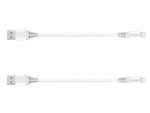 Câble de charge court pour iPhone (lot