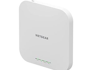 Point d'accès sans fil NETGEAR (WAX610PA) -