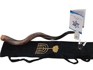 Yaliland Shofar Corne Instrument de musique –