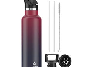 Arslo Bouteilles d'eau en acier inoxydable isolées