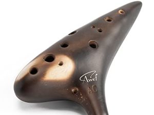 Joy of Wood Thrush 12 trous Alto