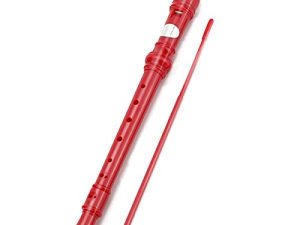 W.ent Descant Recorder Flûte à musique soprano