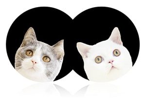 FLYEEGO Lot de 2 sous-verres de voiture