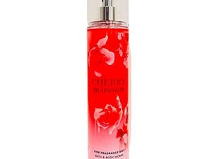 Bath and Body Works Brume parfumée fine