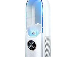 Refroidisseur évaporatif portable