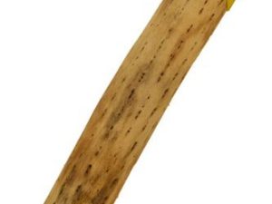 Instrument de musique Chilien Cactus Rainstick de