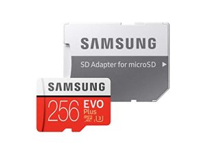 Samsung 256 Go EVO Plus classe 10