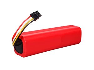 Tenberly Batterie de Remplacement au Lithium pour