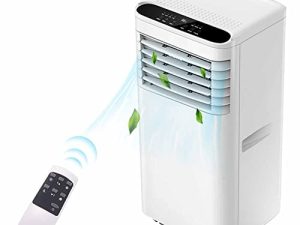 Climatiseur portable 8 000 BTU/AC portable avec