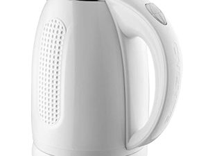 Ovente Bouilloire électrique portable en acier inoxydable