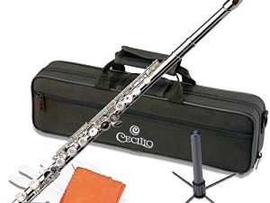 Cecilio Closed Hole C Flute - Instrument