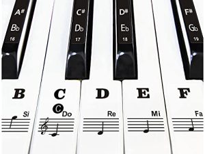 Autocollants de clavier de piano pour 37/49/54/61/88