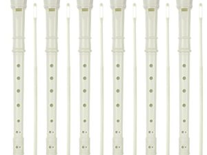 LOLYSIC Lot de 16 flûtes à bec