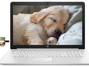 Ordinateur portable professionnel HP 17