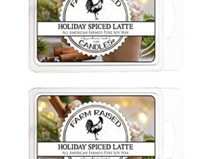 Fondants de cire parfumés Holiday Latte -