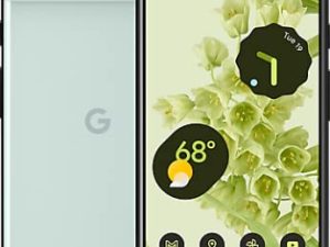 Google Pixel 6 5G UW 128 Go