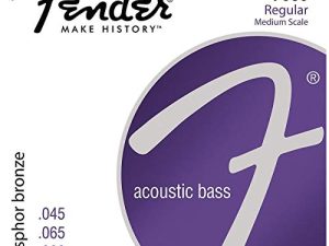 Fender 7060 Cordes pour basse acoustique