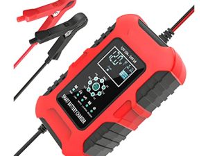 Chargeur de batterie 10 A
