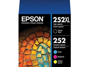 EPSON T252 DURABrite Ultra Ink Pack combiné