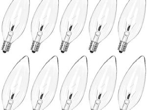 Lot de 10 ampoules à incandescence transparentes