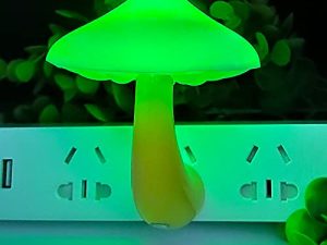 AUSAYE Led Nigh Light
