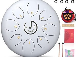 Tambour de langue en acier