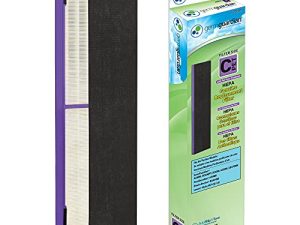 Germ Guardian FLT5250PT True HEPA Filtre de
