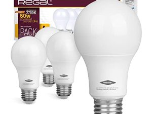 Ampoule LED Regal A19 800 lumens