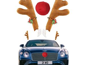Bois et nez de renne de voiture