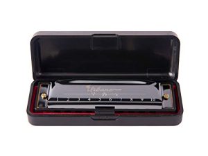 Harmonica 10 Trous 20 Tunes Orgue à