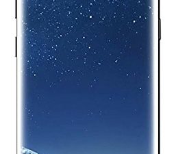 Samsung Galaxy S8 64 Go SM-G950U Noir