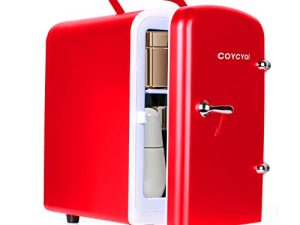 COYCYQI Réfrigérateur USB portable 4L / 6