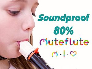 SOURDINE INSONORISÉE POUR INSTRUMENT FLUTE A BEC