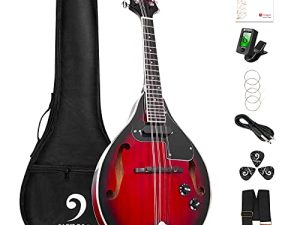Mandoline A Style Acoustique Électrique Mandolines Instrument