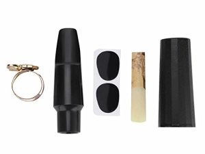 Saxophone ténor Saxophone ABS Embouchure avec capuchon