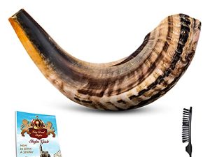 Instrument de corne Shofar - Instrument de