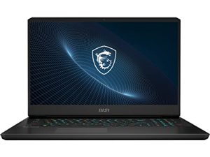 Ordinateur portable de jeu MSI Vector GP76