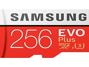 SAMSUNG 256 Go EVO Plus (8772656000)