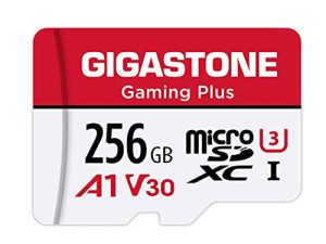 [Gigastone] Carte Micro SD 256 Go