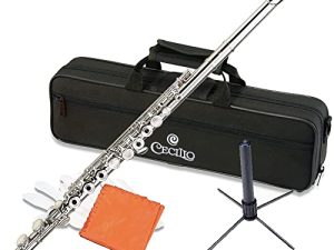 ﻿Cecilio Open Hole C Flute - Instrument