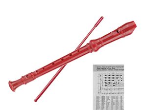 ENGIEGEE 8-Hole Soprano Descant Recorder Flûte à