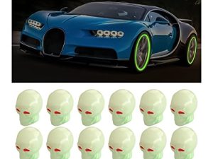 Lot de 12 bouchons de valve de