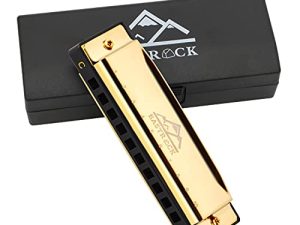 EastRock Blues Harmonica Mouth Organ 10 Hole