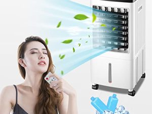 Refroidisseur d'air évaporatif