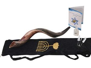 Yaliland Shofar Corne Instrument de musique -